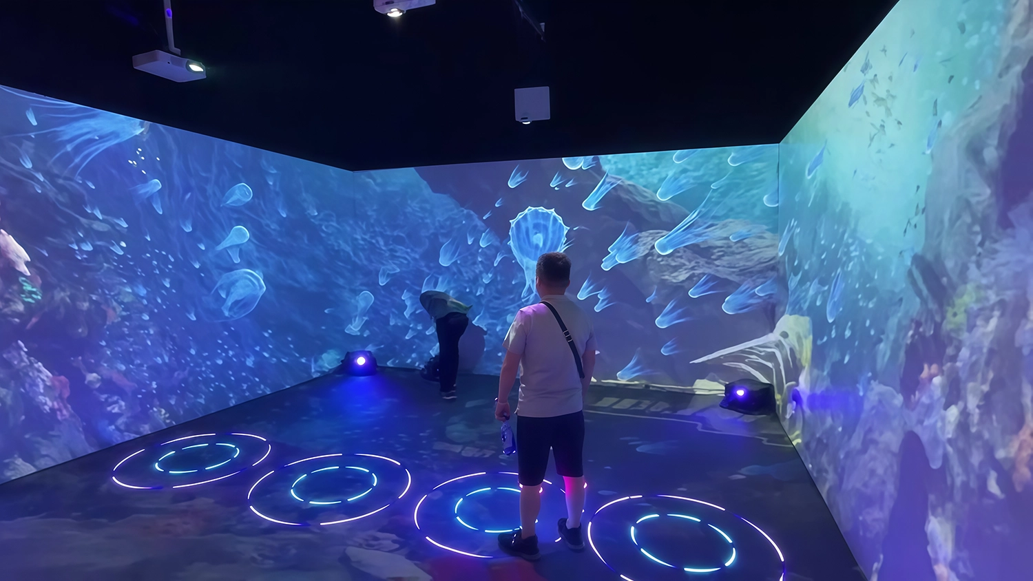 4800-lumen-immersive-room-projector