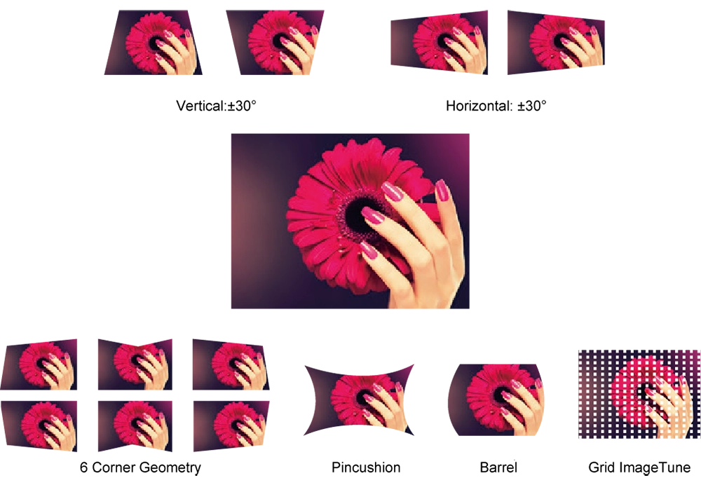 Projection-Mapping-Solution