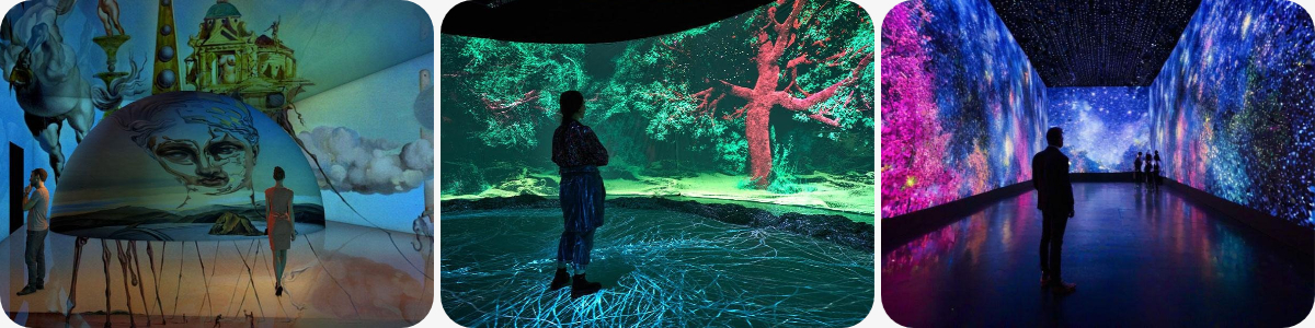 Museum Immersive Exhibitions